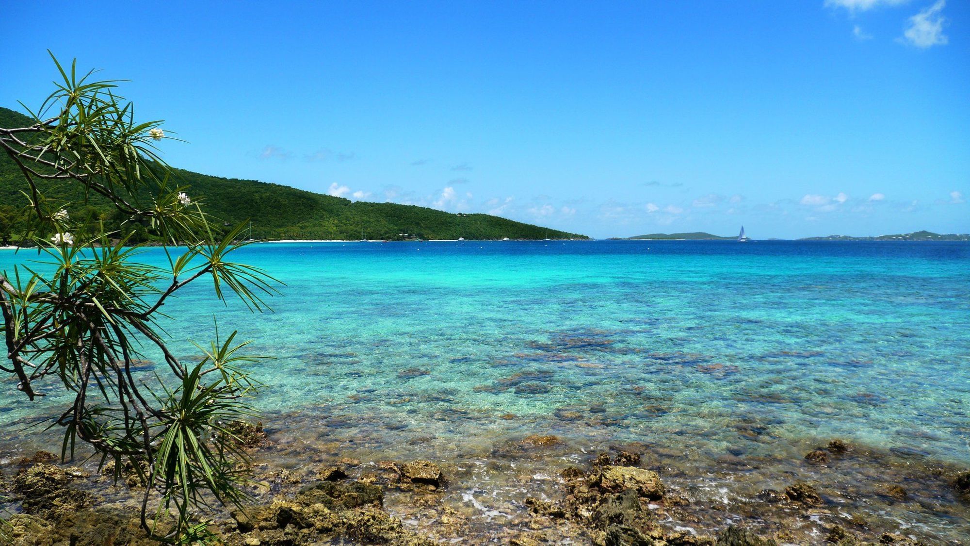 Caneel Bay Resort Cruz Bay Удобства фото