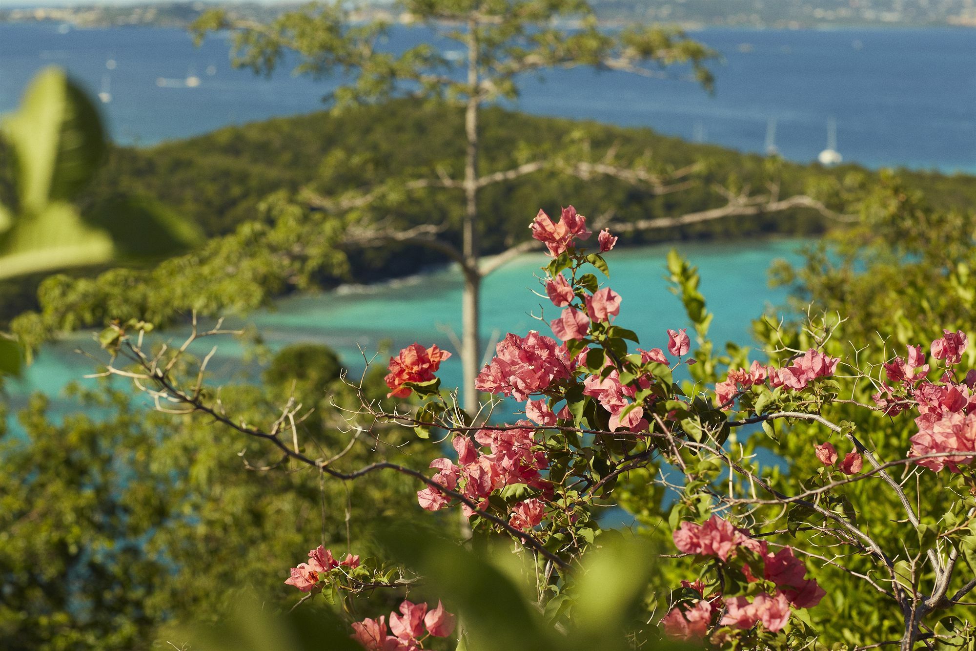 Caneel Bay Resort Cruz Bay Экстерьер фото
