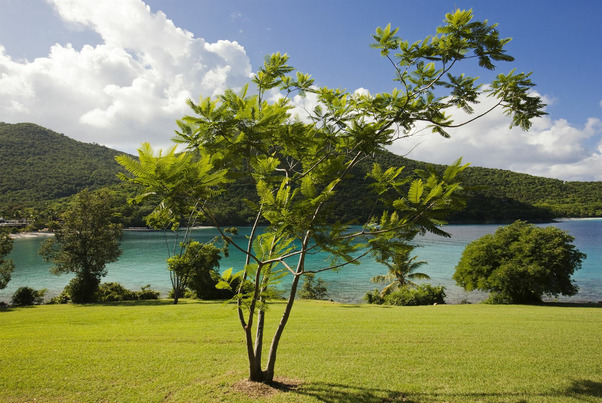 Caneel Bay Resort Cruz Bay Экстерьер фото